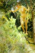 Anders Zorn naken under en gran USA oil painting artist